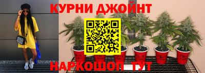 гидра Рязань