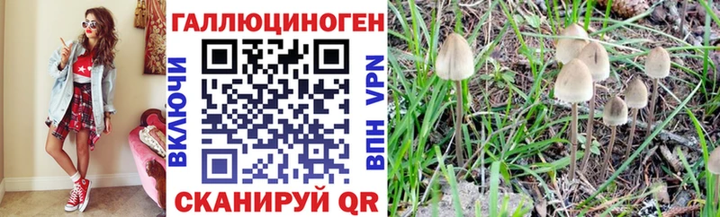 Галлюциногенные грибы Cubensis  mega вход  Энгельс 